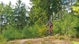 Im Mountainbikepark Pfälzerwald gibt es 36 ausgeschilderte Touren.