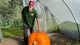 Owen Olsen aus der Südwestpfalz züchtet Riesengemüse