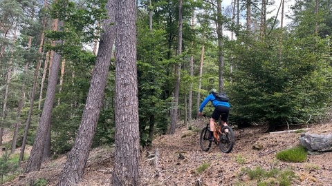 Über Stock und Stein: Die Strecken durch den Pfälzerwald bieten viel Abwechslung. 