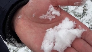 SWR-Reporter Sebastian Stollhof im Schnee auf dem Donnersberg.