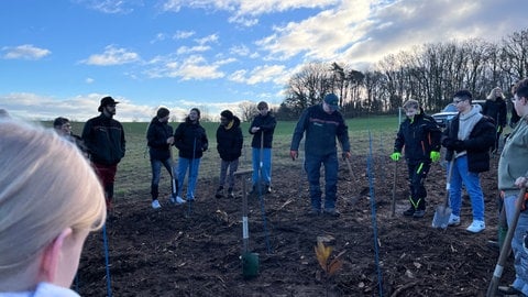 Organisiert von der Firma MyReforest werden im Kreis Kaiserslautern 1000 gespendete Bäume gepflanzt. Dabei helfen Kinder der 7. Klasse der IGS Otterberg mit.