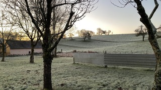 Ein Feld bei Otterberg im Kreis Kaiserslautern bei Frost im November.