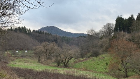 Bewölkter Himmel bei Rumbach im Kreis Südwestpfalz