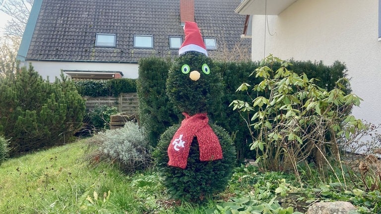 In der Westpfalz haben viele Menschen ihre Grundstücke weihnachtlich geschmückt