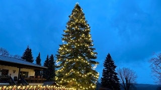 In der Westpfalz haben viele Menschen ihre Grundstücke weihnachtlich geschmückt