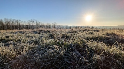 Frostig schönes Wetter in Zweibrücken mit Sonnenschein und blauem Himmel