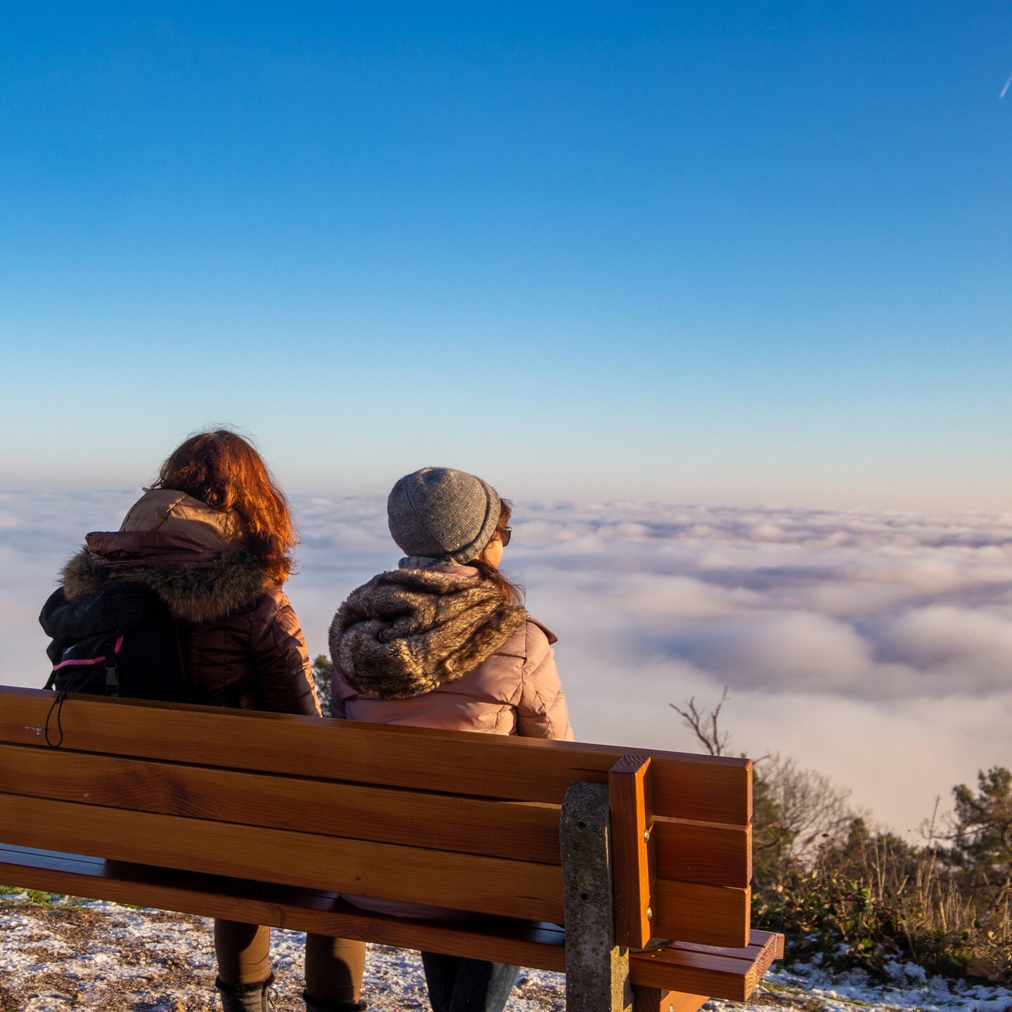 Jubiläen und Freizeittipps Darauf freut sich die Westpfalz 2025 SWR