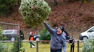 Ein Teilnehmer wirft bei der 17. Weltmeisterschaft im Weihnachtsbaumwerfen einen Baum.