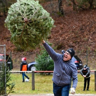 Ein Teilnehmer wirft bei der 17. Weltmeisterschaft im Weihnachtsbaumwerfen einen Baum.