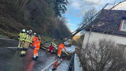 Bei Erdesbach im Kreis Kusel ist ein Baum auf die Bundesstraße und ein Wohnhaus gestürzt