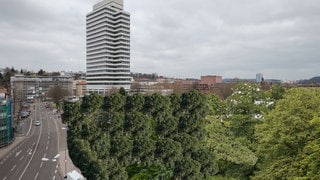 Ein Verein aus Kaiserslautern möchte einen Mini-Wald in Kaiserslautern anlegen.