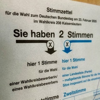 Im Wahlkreis Kaiserslautern sind rund 224.000 Menschen für die Bundestagswahl wahlberechtigt. 