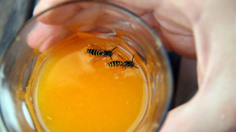 Notfallset für Insektengiftallergiker rettet Leben