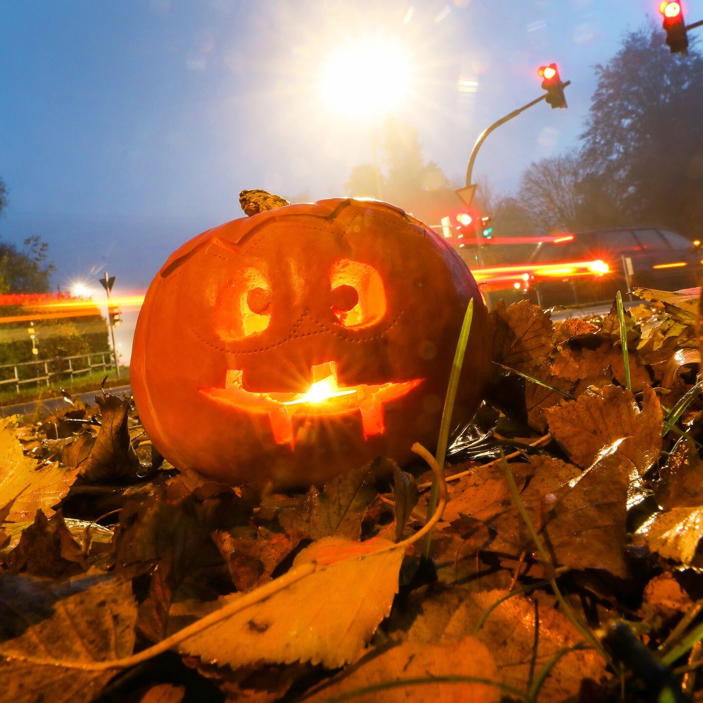 Halloween 2022 im Raum Koblenz Wo überall gefeiert wird SWR Aktuell