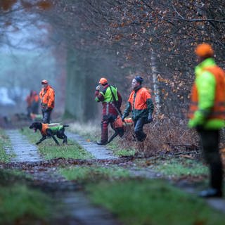 Menschen und Hunde bei einer Treibjagd im Wald - Vegetarier haben vor dem Verwaltungsgericht Koblenz erfolgreich gegen Treibjagden auf ihren Grundstücken geklagt