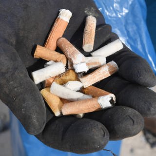 Eine Hand mit aufgesammelten Zigarettenkippen: In Neuwied sammeln Freiwillige der Gruppe "Cleanup Neuwied" Zigarettenkippen auf