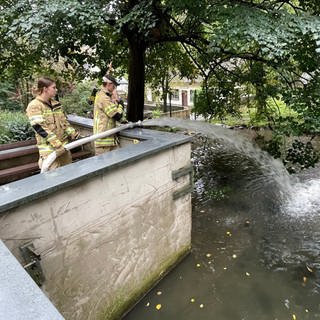 Die Feuerwehr der Verbandsgemeinde Kirchen füllt den Teich der Fischotter im Tierpark Niederfischbach.