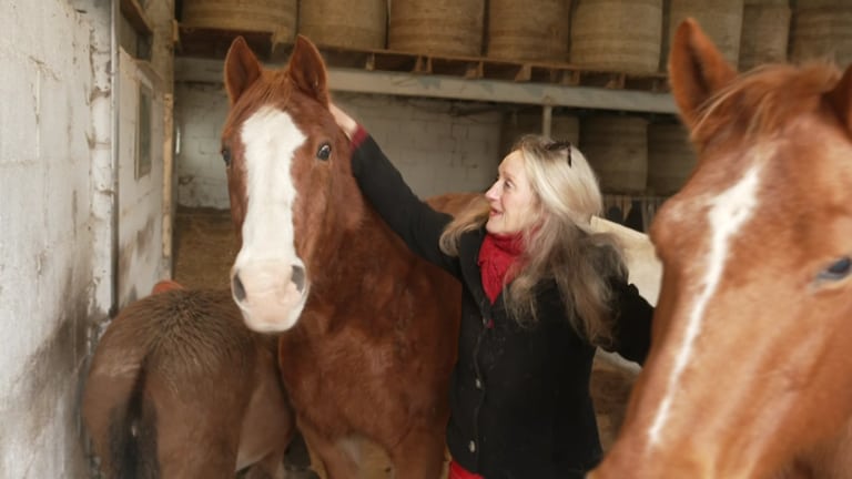 Tierschützerin Andrea Mais mit ihren Pferden auf dem Gnadenbrothof Ziegenhain