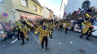 Eine Fußgruppe verkleidet als Bienen läuft durch die Straßen
