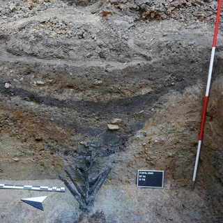 Besonderer Fund: Hölzerne Abwehrkonstruktionen der Römer bei Ausgrabungen nahe Bad Ems gefunden.