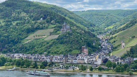 Die Ideensuche für die Kernzone der BUGA 2029 in Bacharach läuft unter dem Arbeitstitel "Inseln der Poesie".