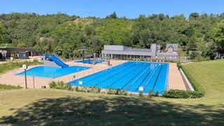 Im Bopparder Freibad sind mehr als Tausend Exemplare einer hochgiftigen Pflanze entfernt worden. 