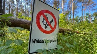 Waldbrandgefahr im Norden von RLP steigt. 