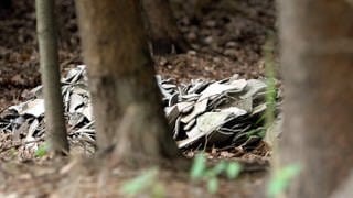 Sondermüll -  Asbest im Wald -Symbolfoto