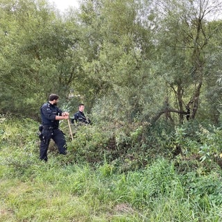 Polizisten suchen nach einer Vermissten aus Montabaur im Dickicht am Lahnufer bei Limburg.