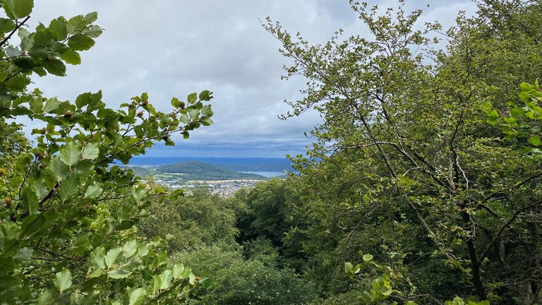 Ausblick vom Hochstein auf den Laacher See.