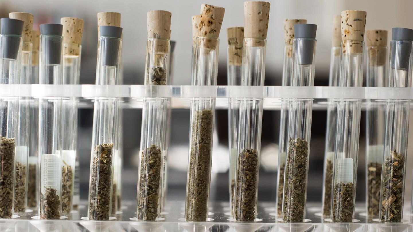 Reagenzgläser gefüllt mit neuen psychoaktiven Substanzen, auch Legal Highs genannt, stehen im Labor des rheinland-pfälzischen Landeskriminalamtes (LKA) in Mainz (Rheinland-Pfalz) auf einem Tisch.