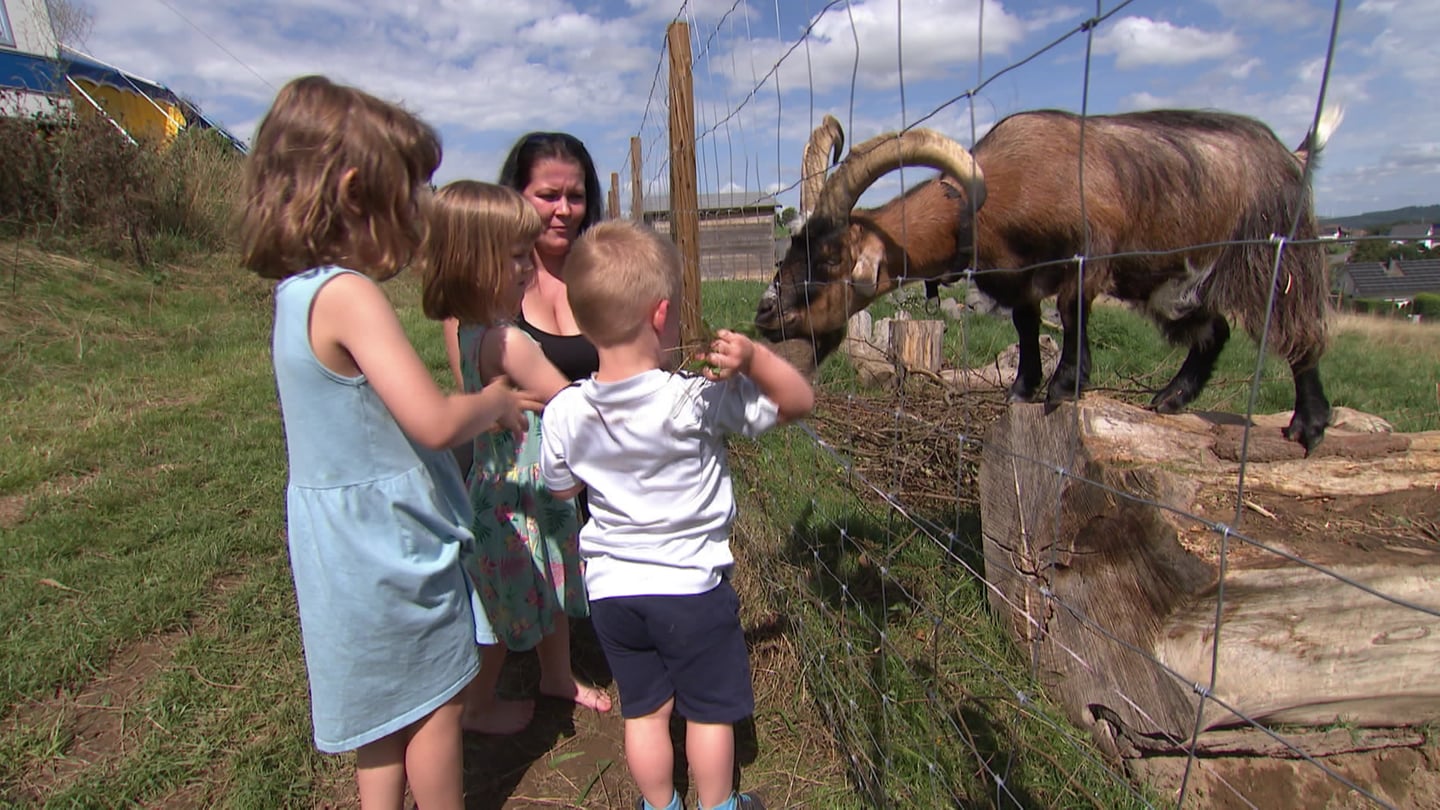 Kinder beim Ziegenfüttern in einer Ferienstätte für Familien im Westerwald in Rheinland-Pfalz