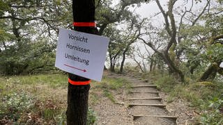 Umleitungsschild mit Warnung vor Hornissen am Klettersteig in Boppard.