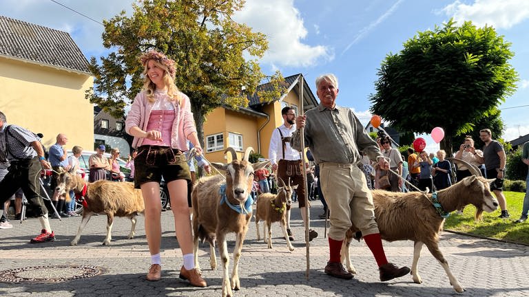 Beim Alm-Abtrieb führen eine Frau und mehrere Männer in bayrischer Tracht Ziegen eine Straße in Niederelbert im Westerwald hinunter.