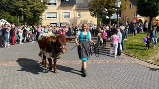 Frau in Dirndl führt Kuh bei Almabtrieb durch Niederelbert im Westerwald.