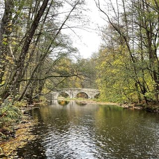 Die Nister bei Kloster Marienstatt im Herbst