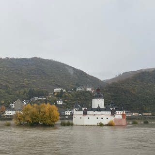 Die Burg Pfalzgrafenstein bei Hochwasser im Rhein bei Kaub.