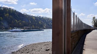 Das Wasser am Rhein geht zurück. Bis zur nächsten Woche erwartet der Hochwasservorhersagedienst nach eigener Auskunft keinen erneuten Anstieg.