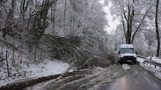 Umgestürzte Bäume blockieren nach starkem Schneefall eine Fahrbahn einer Straße im Westerwald. 