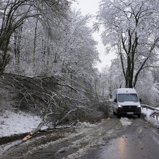 Umgestürzte Bäume blockieren nach starkem Schneefall eine Fahrbahn einer Straße im Westerwald. 