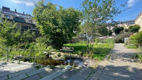 Der Garten Herlet -  Pflanzen und ein Teich bilden eine grüne Idylle in der Altstadt