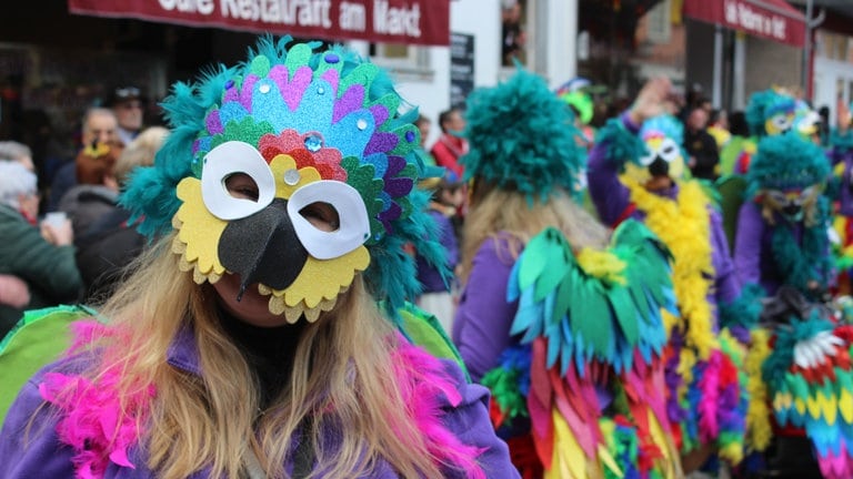 Bunte Vögel beim Rosenmontagszug in Linz am Rhein