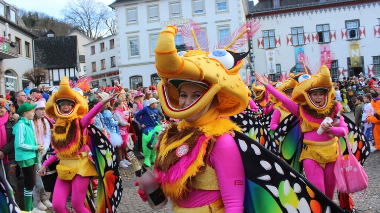 Bunte Insekten beim Rosenmontagszug in Linz am Rhein