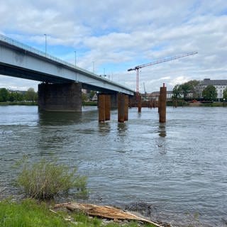 Für den Neubau der Pfaffendorfer Brücke in Koblenz laufen die Arbeiten - erste Stahlrohre sind im Rhein platziert.