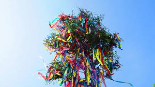 Ein bunt geschmückter Maibaum (Symbolbild) - in Rederscheid wurde so einer abgesägt.