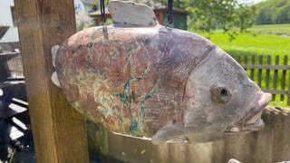 Ein brauner Keramik-Fisch aus der Nähe: Er ist Teil eines Kunstwerkes von Michaela Klotz aus Antweiler, mit der sie an die Opfer der Flutkatastrophe erinnern will.