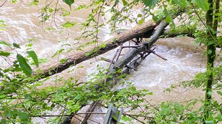 Bäume und Äste liegen in der Elz