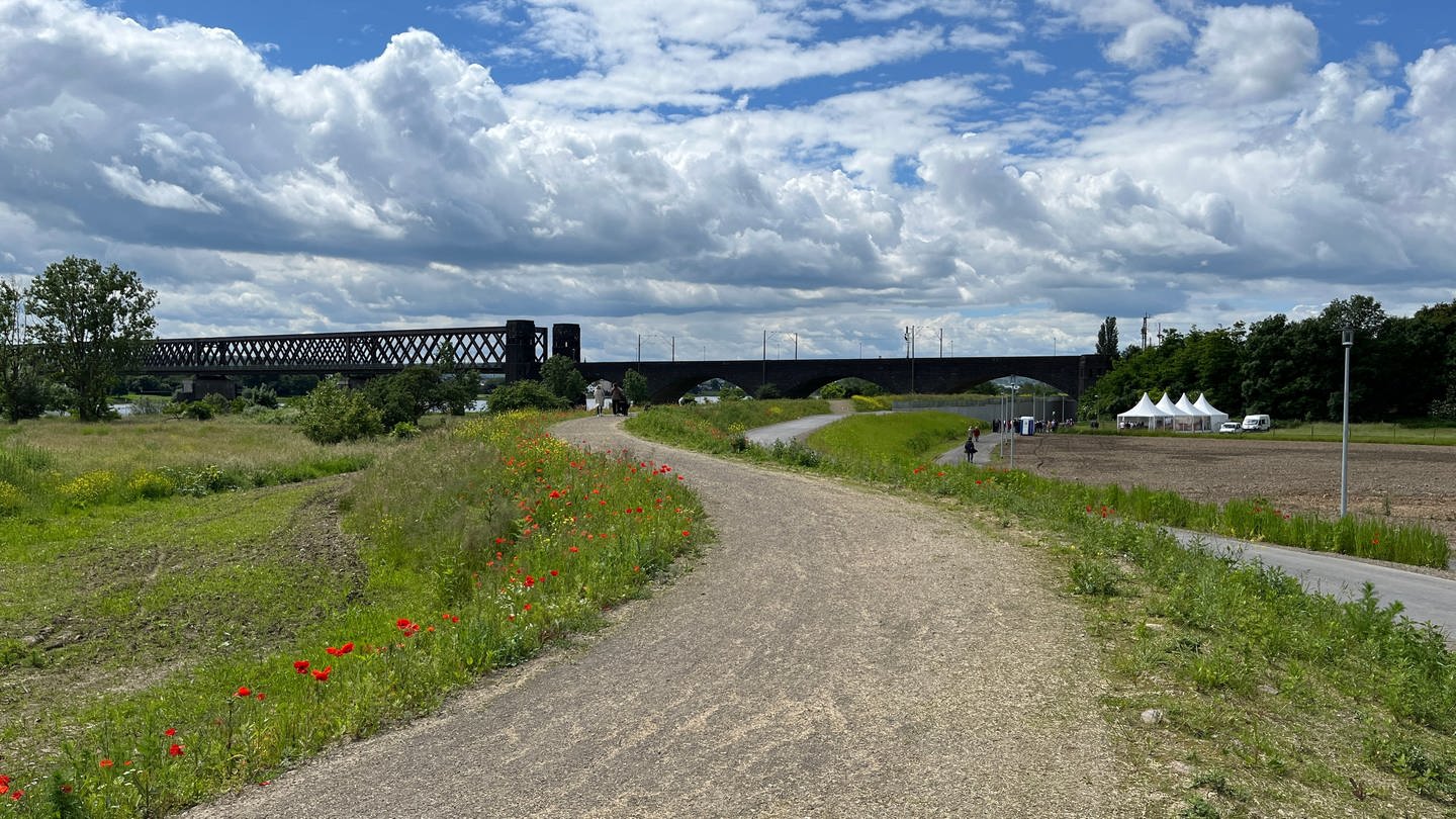 Blick auf den sanierten Deich in Neuwied-Engers. Im Hintergrund die Eisenbahnbrücke nach Urmitz.
