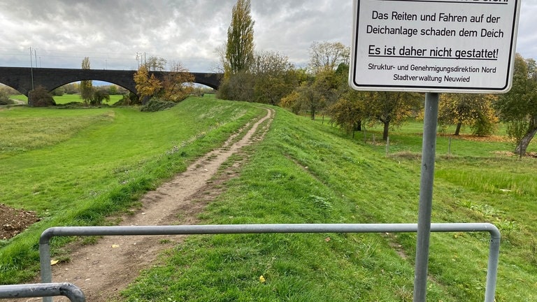 Der Rhein-Deich bei Neuwied-Engers soll saniert werden