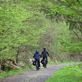 Auf manchen Wanderwegen in RLP kommt es nicht selten zu Konflikten zwischen (motorisierten) Fahrradfahrern und Fußgängern.